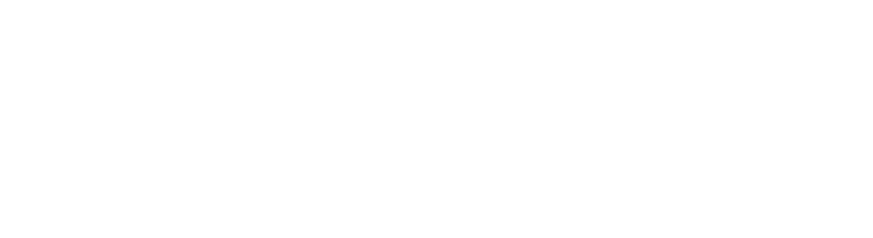 Finn Spring